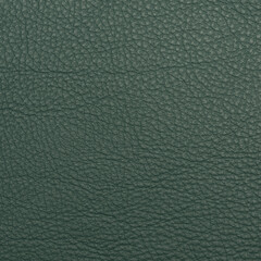 Leather texture  background.
