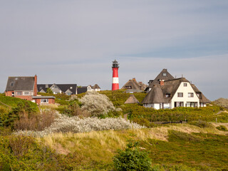 Fototapeta na wymiar Lighthouse and holiday homes in Hornum dunes, Sylt island, North Frisia, Germany