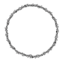 A ring of illustrated leaves and flowers