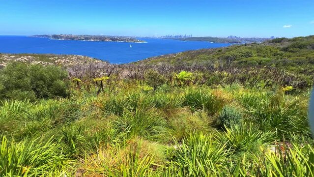 Sydney Harbour viewed from North Head Manly views of South Head Sydney CBD Mosman circular quay double bay north Sydney Taronga zoo  yacht ferry speed boats rock cliffs NSW Australia