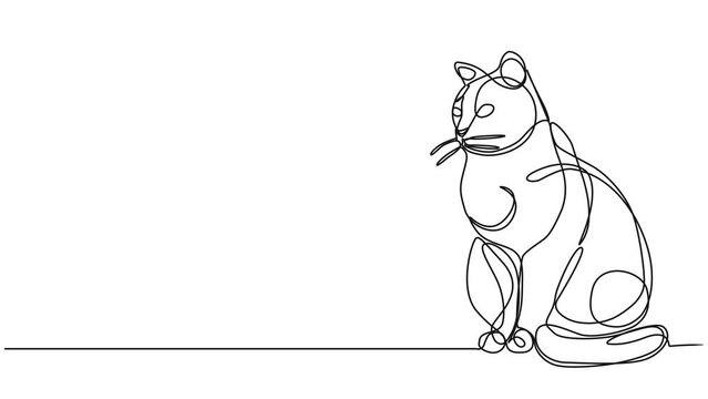 animated continuous single line drawing of sitting cat, line art animation