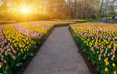 Spring flower park with green grass, trees and blooming flowers