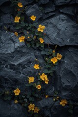 Lot of small yellow flowers on dark stone background