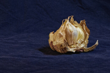 Garlic in blue surroundings