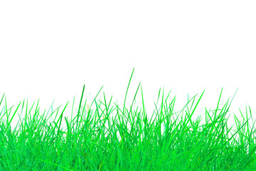 Fototapeta premium fresh green grass farm isolated on white background. natural field grass with copy space for presentation product