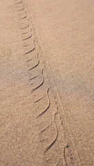 wheel tracks on the beach sand