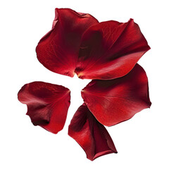 Red rose petal isolated on transparent png.