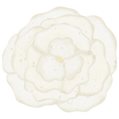 Bear mother day watercolor so cute 