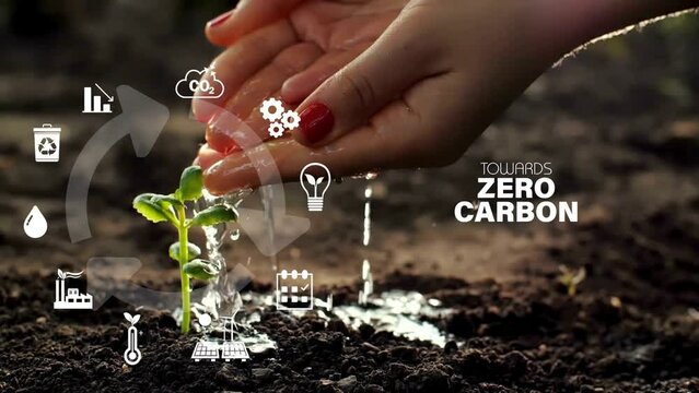 Net zero , carbon neutral concept. Net zero greenhouse gas emissions target. Climate neutral long term strategy with net zero icons and on greenyoung plant background