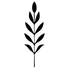 Fototapeta premium Simple ornament Border, outline, silhouette Decorative Hand drawn symbols frames minimal shapes plant flower line stroke.