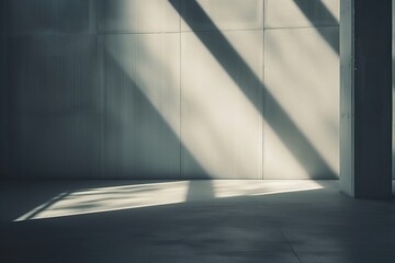Sunlight casts shadows on a white wall and floor, creating a tranquil and minimalist abstract pattern.