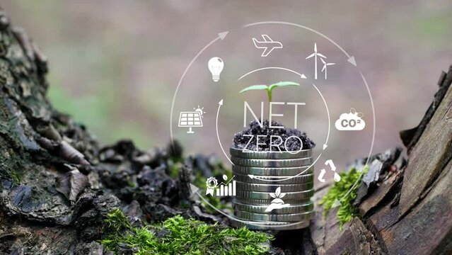 Stack of coins with young green plant.Net zero and carbon neutral concept 2050. Net zero icons In Green Forest With Sunlight. Carbon reduce. Climate neutral long term strategy 2050...