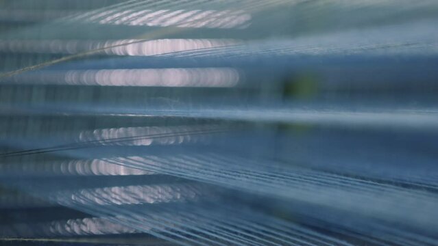 Stretched Threads. Close-Up. Dyeing And Drying Of Threads. Fabricating Cloth