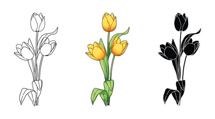 Flower illustration, flower outline and flower silhouette, Yellow tulip flower. Collection of beautiful spring and summer herbs and flowers. Vector illustration.