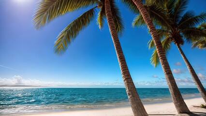 tropical beach landscape. summer coast, place to relax, palm trees, white sand, sunny sky, beautiful beach with palm trees