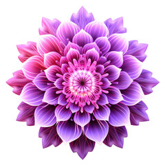 Neon purple trippy flower isolated on white background