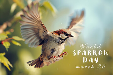 Cute sparrow in spring garden with blossom tree, World Sparrow Day - 742938877