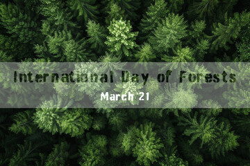 Pine tree forest from above, aerial, International Day of Forests, 21 march - 742939071