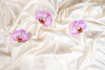 An orchid flower on crumpled bedding. Womens Health Concept.
