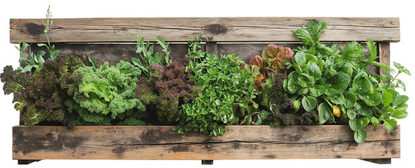 a raised bed with lettuce, vegetable, and herb plants growing, top view PNG, in a Garden-to-table-themed, isolated, and transparent photorealistic illustration. Generative ai
