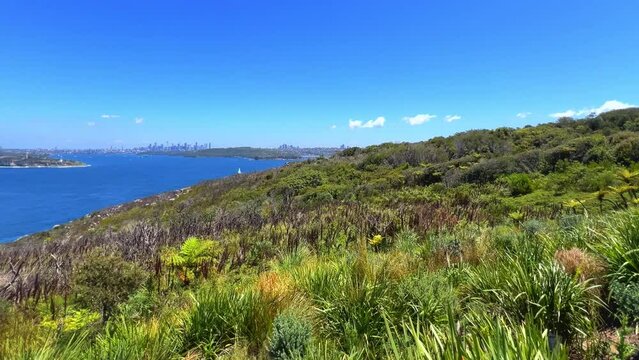 Sydney Harbour viewed from North Head Manly views of South Head Sydney CBD Mosman circular quay double bay north Sydney Taronga zoo  yacht ferry speed boats rock cliffs NSW Australia