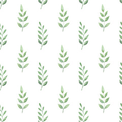 Greenery delicate seamless pattern. Watercolor hand painted background.