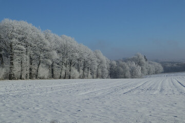 Paysage enneigé - Snowy landscape
Paysage enneigé - Snowy landscape
