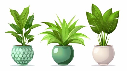 A collection of houseplants in pots, offering a refreshing green touch to home