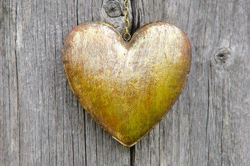 a heart is hanging at the bark of an tree as symbol for love