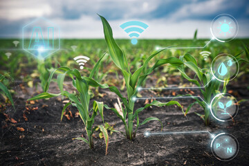 Agriculture and artificial intelligence technology in smart farm for monitoring seed and plants....