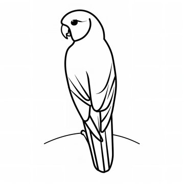 recommend clip art: Minimalistic Parrot Line Art Vector SVG Colorful