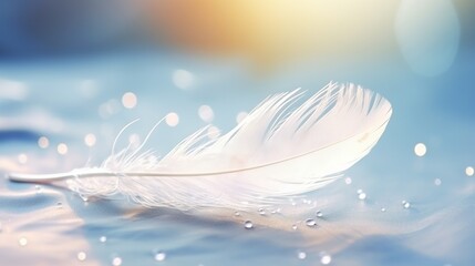 White airy soft bird feather with clean transparent morning dew or rain drops of water on smooth bokeh sun light macro. Beautiful animal hair.