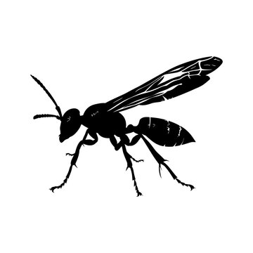 black wasp silhouette on white background clip art preview