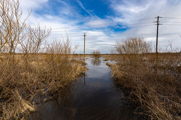 early spring flood, high water in the countryside, river overflowing its banks, trees in the water, flooded banks, environmental pollution, ecology