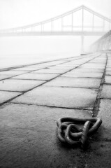 Draped in a dense cloak of fog, the waterfront conceals its secrets behind a veil of mystery.