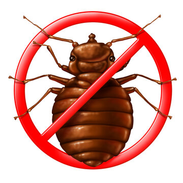 Bed Bug Eradication and Bedbug pest control or bedbugs infestation as Hotels or home infested with bed parasites as a symbol for insect extermination of bedbugs.