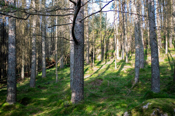 The Lake District, Cumbria, England