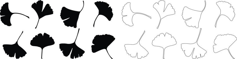 Fototapeta na wymiar Cartoon flat and line ginkgo biloba leaf silhouette icon set isolated on transparent background. Nature eco black vector collection. Leaflet organic leaves cosmetics and medical plant icon