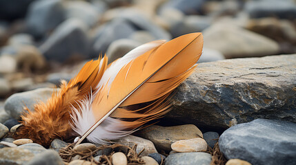  feather laying on top of a pile of rocks