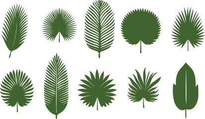 Collection of palm leaf silhouettes on a white background