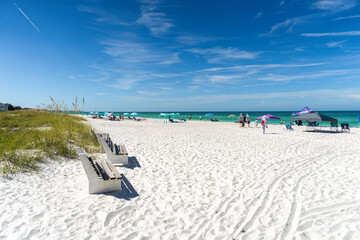 The First Beach Sighting