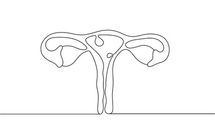 Uterus. Endometrial polyp. Disease. Gynecology