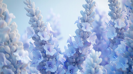 White flower on blue background
