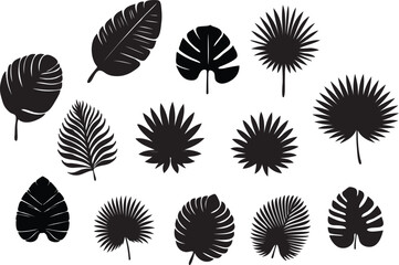 palm leaf vector free download for any kind of graphic design