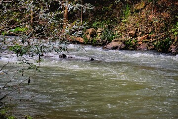 water flowing into the river