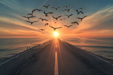 Zelfklevend Fotobehang A straight road across the sea towards a sunrise, with the sun illuminating a flock of seabirds in flight. capturing the energy and movement of the birds against the morning sky. © Abdul