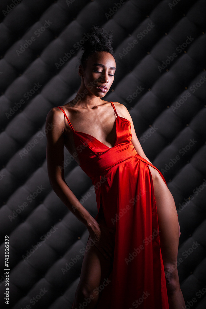 Canvas Prints sexy portrait of a young beautiful woman in red dress