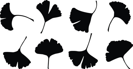 Cartoon flat ginkgo biloba leaf silhouette icon set isolated on transparent background. Nature eco black vector collection. Leaflet organic leaves cosmetics and medical plant icon