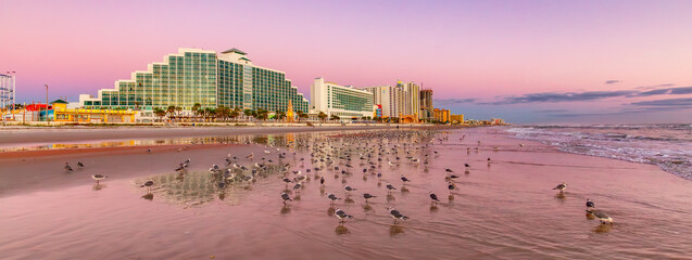 Birds on the sandy beach with Buildings in the background. Bibrant sunrise.