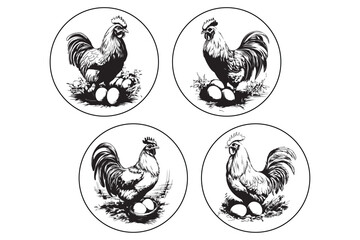 illustration of a lobster